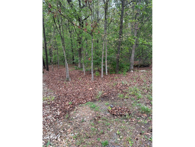 Build your dream home on this exceptional lot featuring SEWER - photo 4