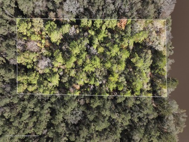 (private lake, pond, coastal) Lot For Sale in Mc Lain Mississippi