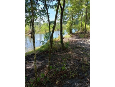 Lake Lot For Sale in Inverness, Florida