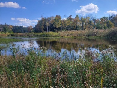 Lake Acreage For Sale in Moravia, New York