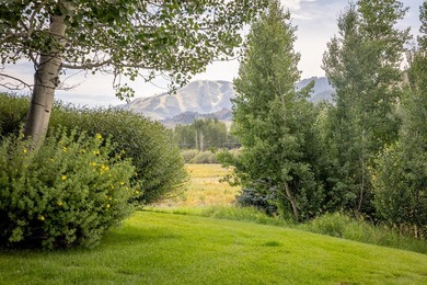 Stunning custom mountain home featuring unobscured Bald Mountain - photo 36