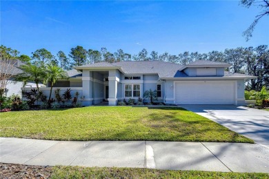 Lake Home For Sale in Valrico, Florida