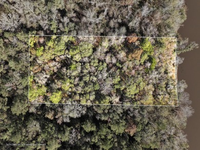 (private lake, pond, coastal) Lot For Sale in Mc Lain Mississippi