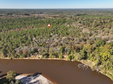 Leaf River Lot For Sale in Mc Lain Mississippi