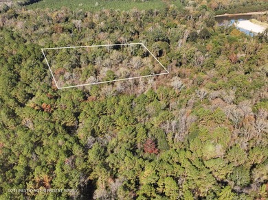 1.08 MOL AC Old HWY 24 Parcel 35 - photo 2