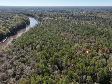 1.08 MOL AC Old HWY 24 Parcel 35 - photo 3