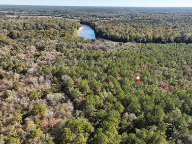 1.08 MOL AC Old HWY 24 Parcel 35 - photo 4