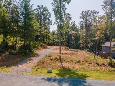 Lake Dakwa Lot For Sale in Ellijay Georgia