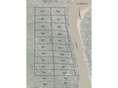 1.0 MOL AC Old HWY 24 Parcel 37 - photo 8