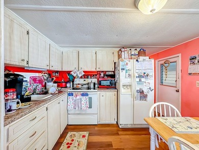 Welcome to Leisure Lake, a charming 55+ cooperative in Palmetto - photo 10
