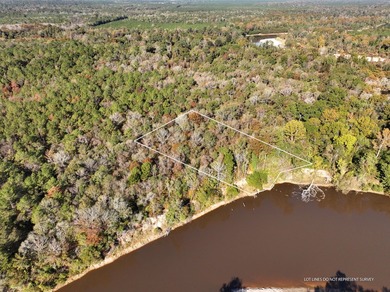 1.0 MOL AC Old HWY 24 Parcel 38 - photo 2