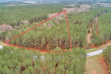 Great Little Triangle Buildable Lot in Stillwater Coves. Lot 294 - photo 22