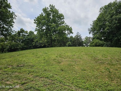 Rare cabin opportunity on 2 acres convenient to LaFollette. 2 - photo 5