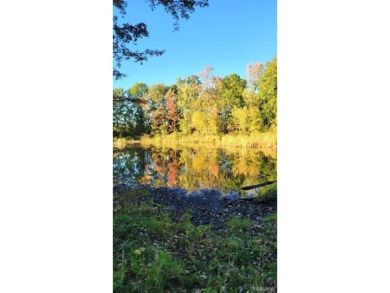 Lake Acreage For Sale in Dryden, Michigan