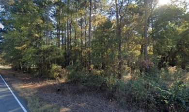 Lake Lot For Sale in Benton, Louisiana