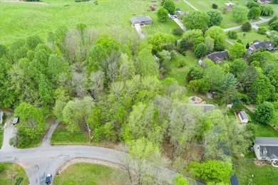 Discover the charm of this scenic, wooded lot nestled in the - photo 2