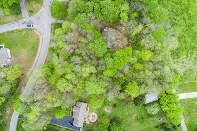 Discover the charm of this scenic, wooded lot nestled in the - photo 4