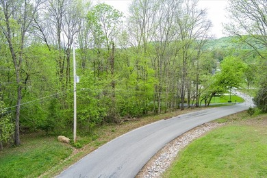 Discover the charm of this scenic, wooded lot nestled in the - photo 7