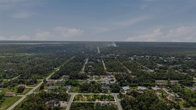 DOUBLE OVERSIZED LOT! Underbrush CLEARED! Double corner lot OR - photo 9