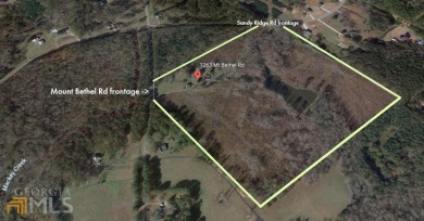 (private lake, pond, creek) Acreage For Sale in Mcdonough Georgia
