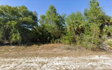 Lehigh Acres Area Lot For Sale in Lehigh Acres Florida