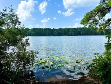 Lake Lot For Sale in Summit, Mississippi