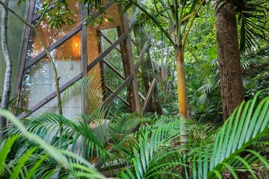 *Jungle Pods* Selvatik is a one-of-a-kind hospitality investment - photo 27
