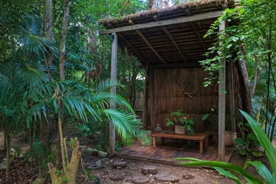 *Jungle Pods* Selvatik is a one-of-a-kind hospitality investment - photo 28