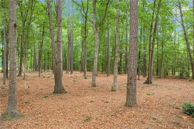 Encompassing nearly 8 acres of unspoiled woodland, this - photo 3