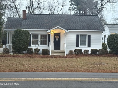 Lake Home For Sale in Lake Waccamaw, North Carolina