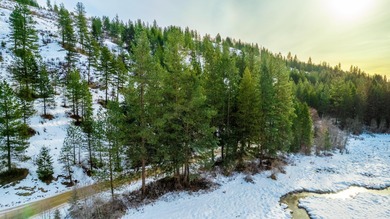 Lake Acreage For Sale in Inchelium, Washington