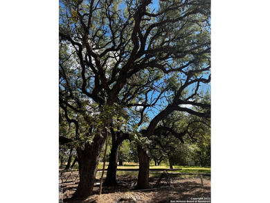 (private lake, pond, creek) Lot For Sale in Leakey Texas