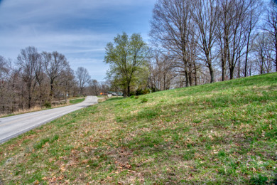 Great Beaver Lake View from this Hilltop 3+ Acres! - photo 7