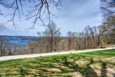 Great Beaver Lake View from this Hilltop 3+ Acres! - photo 4