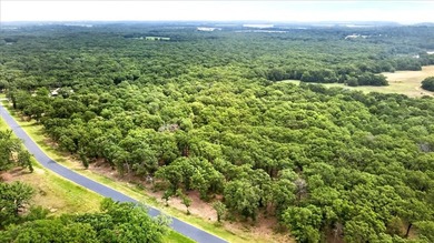 Build your dream home on this beautiful 3-acre lot in the gated - photo 24