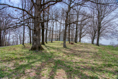 Great Beaver Lake View from this Hilltop 3+ Acres! - photo 5