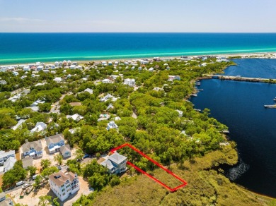 Camp Creek Lake Lot For Sale in Inlet Beach Florida