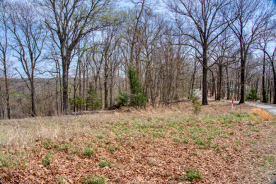 Great Beaver Lake View from this Hilltop 3+ Acres! - photo 17