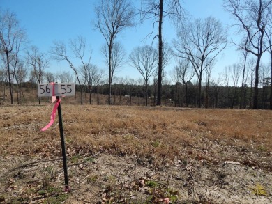 Lake Lot For Sale in Many, Louisiana