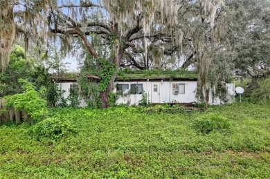 Lake Home For Sale in Ocklawaha, Florida