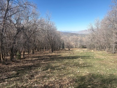 Utah Lake Lot For Sale in Woodland Hills Utah