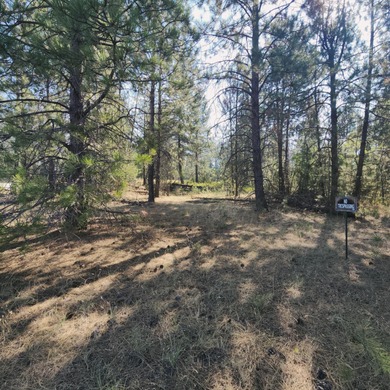 Lake Roosevelt Acreage For Sale in Kettle Falls Washington