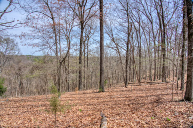Great Beaver Lake View from this Hilltop 3+ Acres! - photo 21