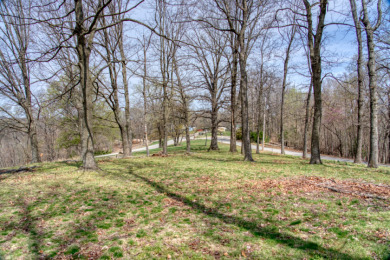 Great Beaver Lake View from this Hilltop 3+ Acres! - photo 3