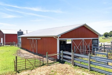 Beautiful 23-acre working cattle farm with fenced and - photo 7