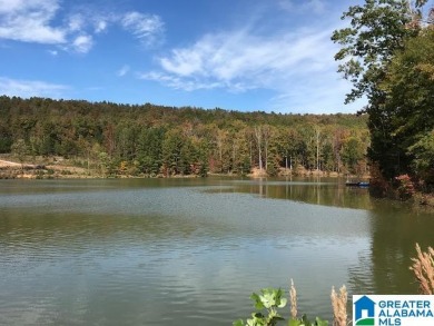 Lake Lot For Sale in Pelham, Alabama