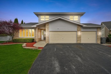 Lake Home For Sale in Orland Hills, Illinois