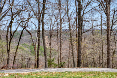 Great Beaver Lake View from this Hilltop 3+ Acres! - photo 14