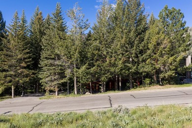 Perched on a coveted slope of Knob Hill, this exceptional parcel - photo 19