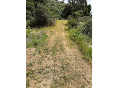 An extraordinary and irreplaceable offering 31 plus acres of - photo 30